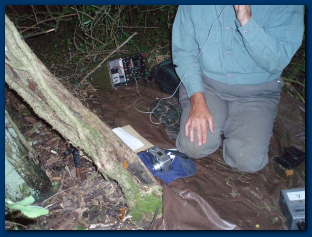 600x449 pixels (167K)